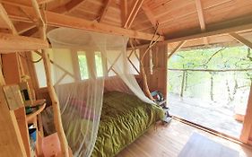 Cabane Dans Les Arbres - La Pagode